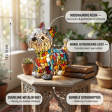 Moomie Votre Compagnon Ultime